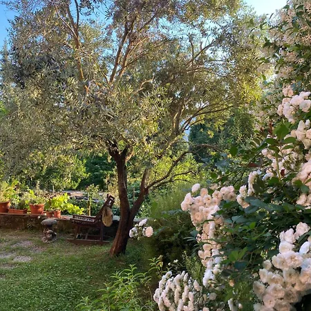 Casa Dei Fiori Bed and breakfast 3*