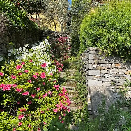 Bed and breakfast Casa Dei Fiori 3*